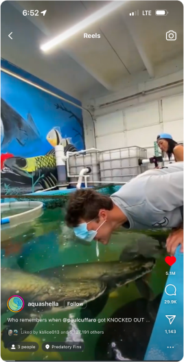 Man with mask leaning over tank interacting with fish in viral aquarium-themed video