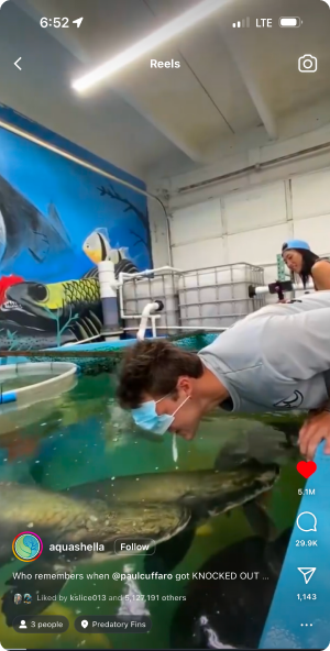 Man leaning over aquarium tank engaging with fish in viral aquatics video
