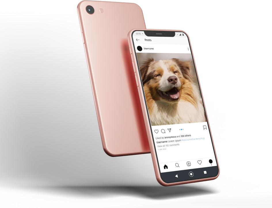 Two rose gold smartphones, one showing a dog photo on a social media app